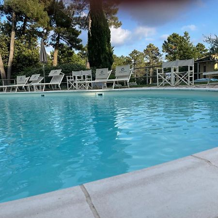 Tuscany Relax H&H - Helly House Διαμέρισμα San Vivaldo Εξωτερικό φωτογραφία