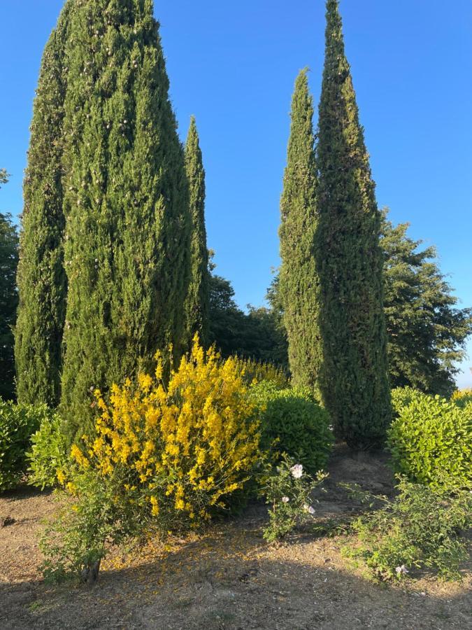 Tuscany Relax H&H - Helly House Διαμέρισμα San Vivaldo Εξωτερικό φωτογραφία